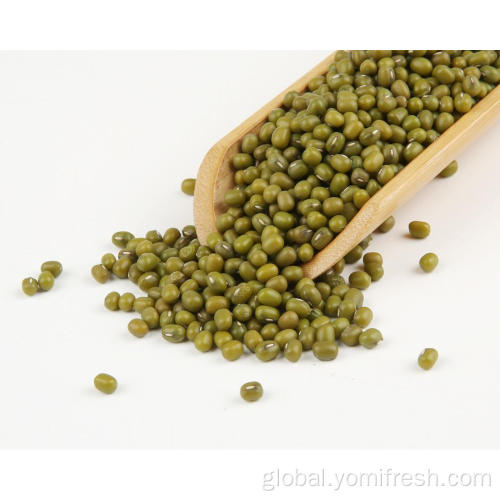 Organic Mung Bean Mung Bean 100G Manufactory